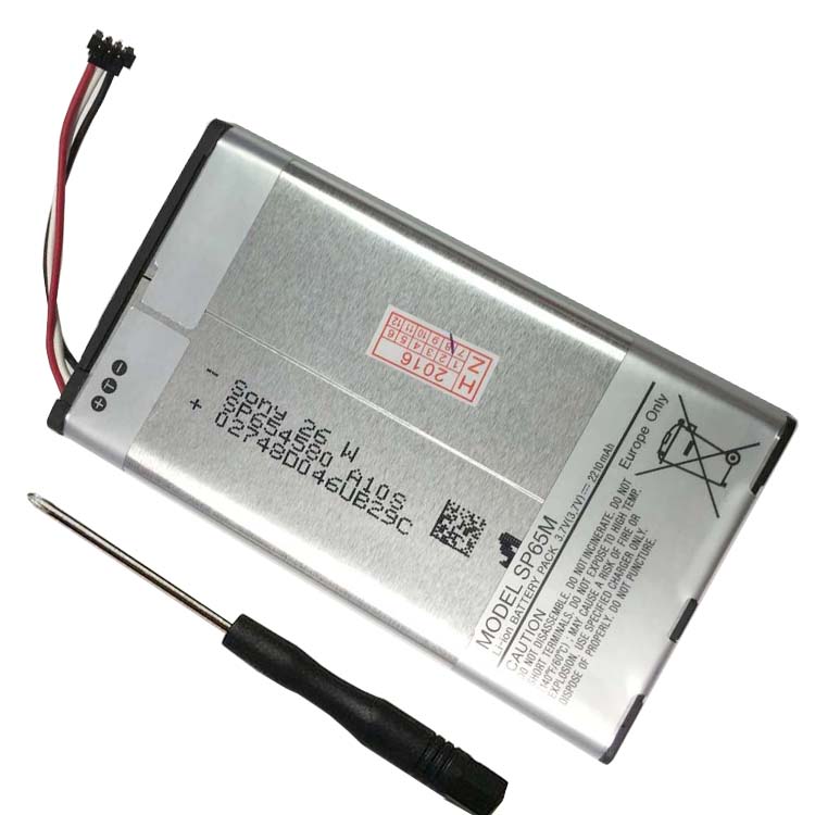 SONY PCH-1000 Batterie